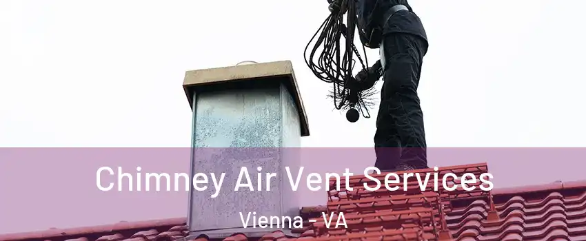  Chimney Air Vent Services Vienna - VA