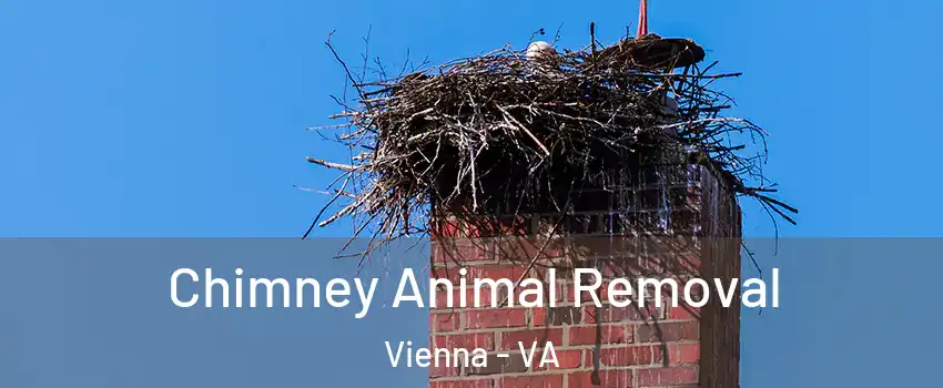Chimney Animal Removal Vienna - VA