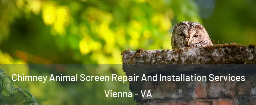  Chimney Animal Screen Repair And Installation Services Vienna - VA