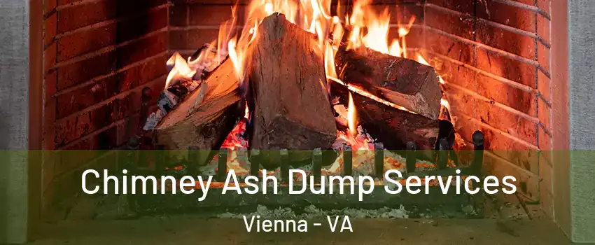  Chimney Ash Dump Services Vienna - VA