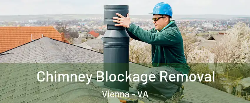  Chimney Blockage Removal Vienna - VA
