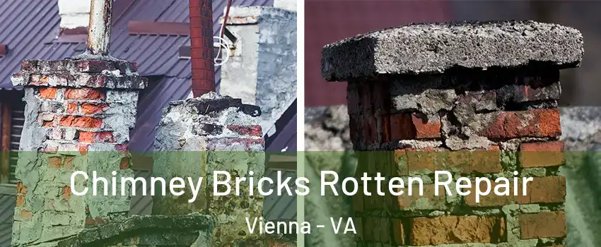  Chimney Bricks Rotten Repair Vienna - VA
