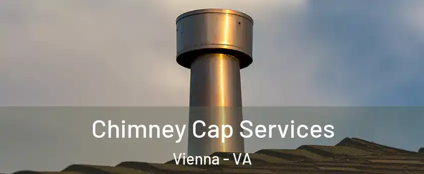  Chimney Cap Services Vienna - VA