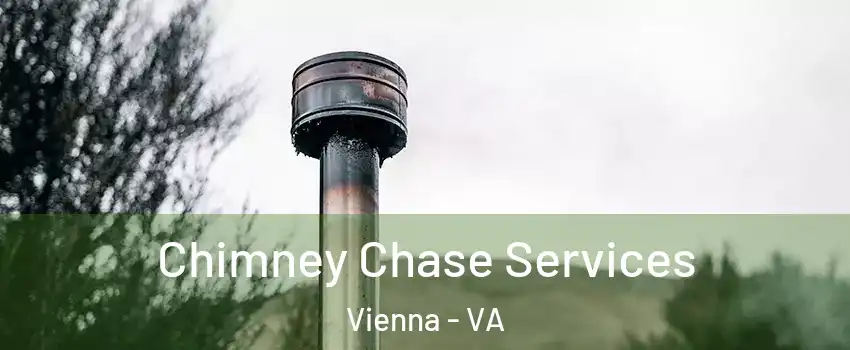  Chimney Chase Services Vienna - VA