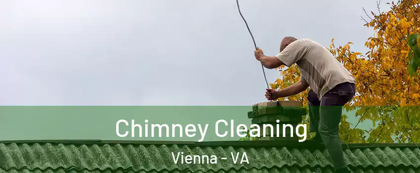  Chimney Cleaning Vienna - VA