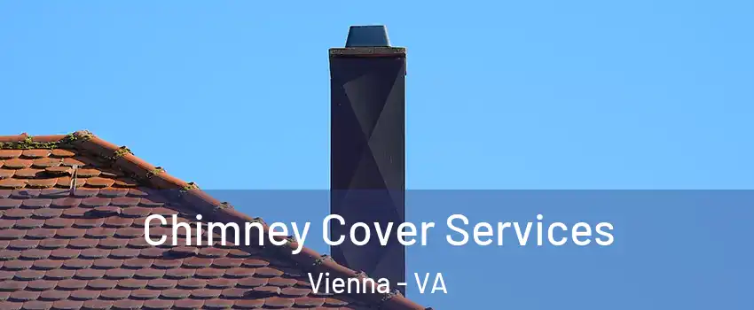  Chimney Cover Services Vienna - VA
