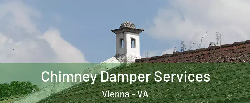  Chimney Damper Services Vienna - VA