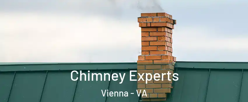 Chimney Experts Vienna - VA