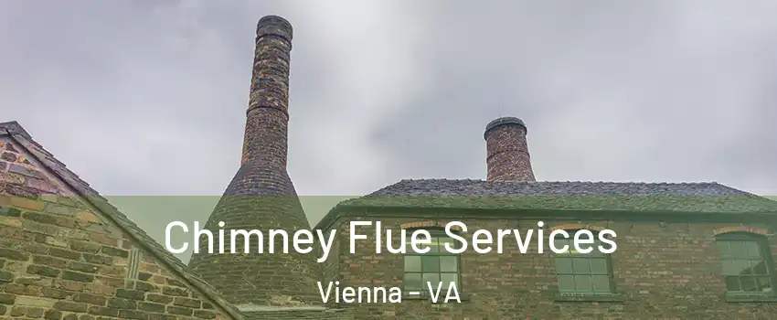  Chimney Flue Services Vienna - VA