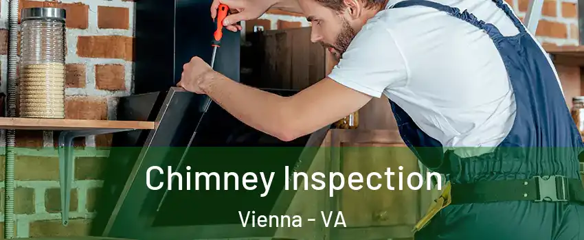  Chimney Inspection Vienna - VA