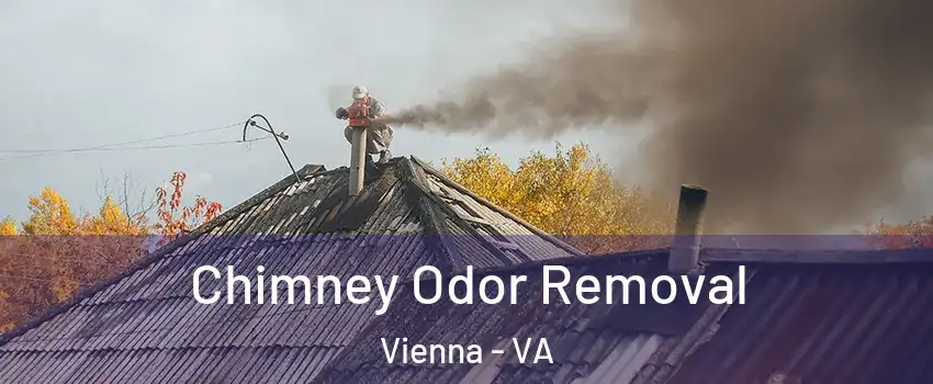  Chimney Odor Removal Vienna - VA