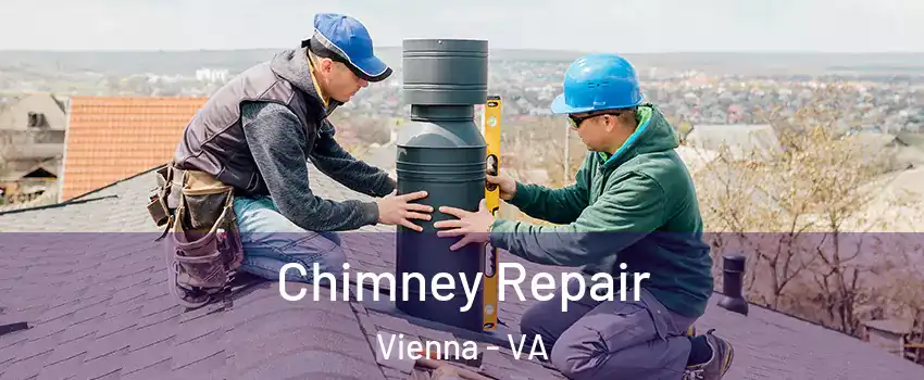 Chimney Repair Vienna - VA