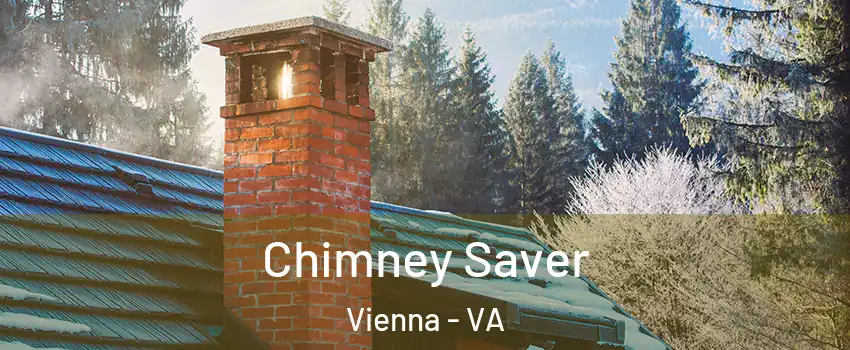  Chimney Saver Vienna - VA