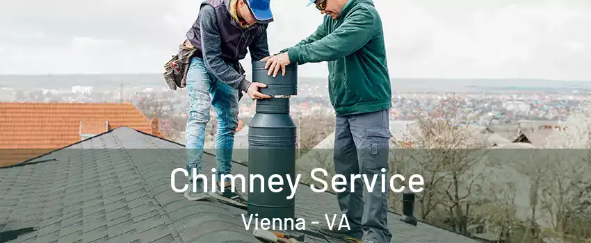  Chimney Service Vienna - VA