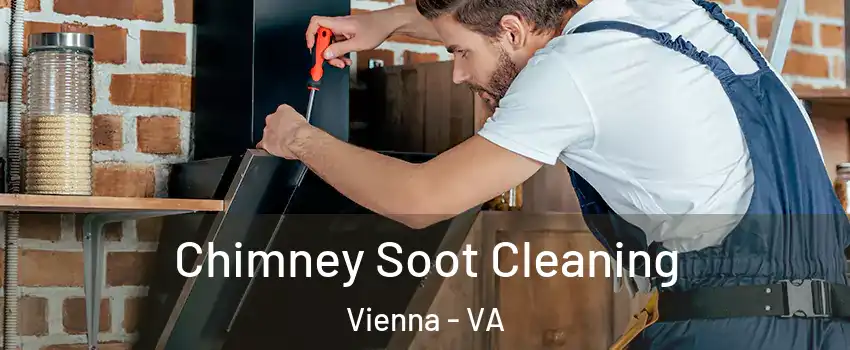  Chimney Soot Cleaning Vienna - VA