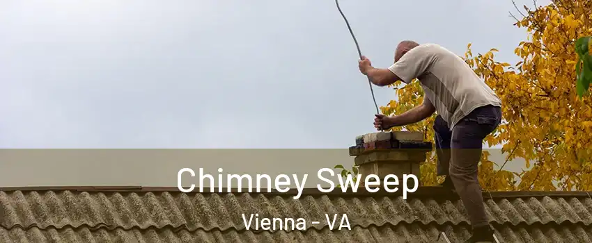  Chimney Sweep Vienna - VA