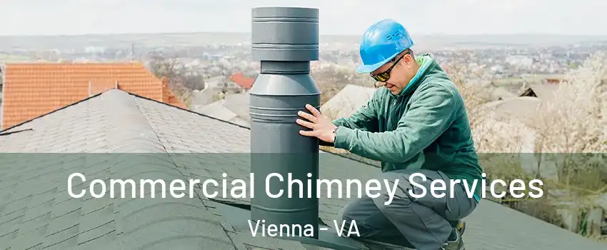  Commercial Chimney Services Vienna - VA