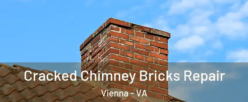  Cracked Chimney Bricks Repair Vienna - VA