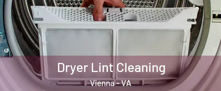  Dryer Lint Cleaning Vienna - VA