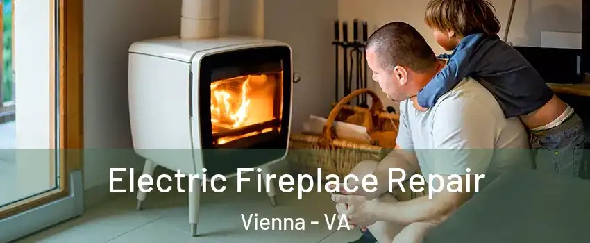  Electric Fireplace Repair Vienna - VA