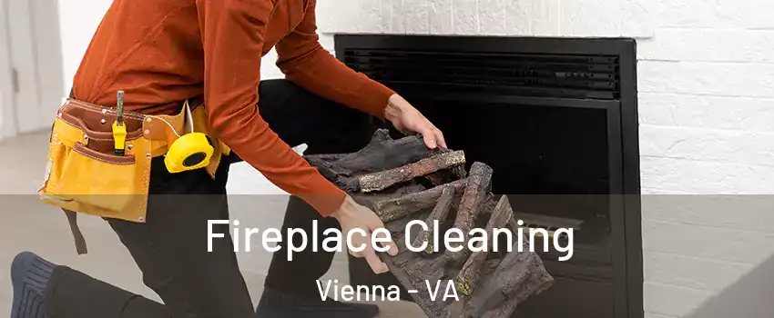  Fireplace Cleaning Vienna - VA