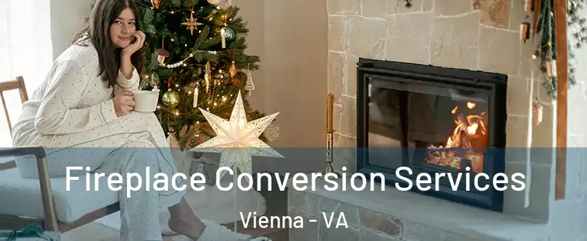  Fireplace Conversion Services Vienna - VA