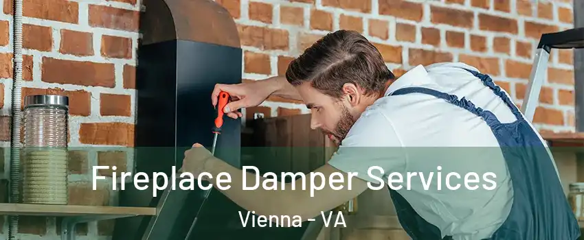  Fireplace Damper Services Vienna - VA