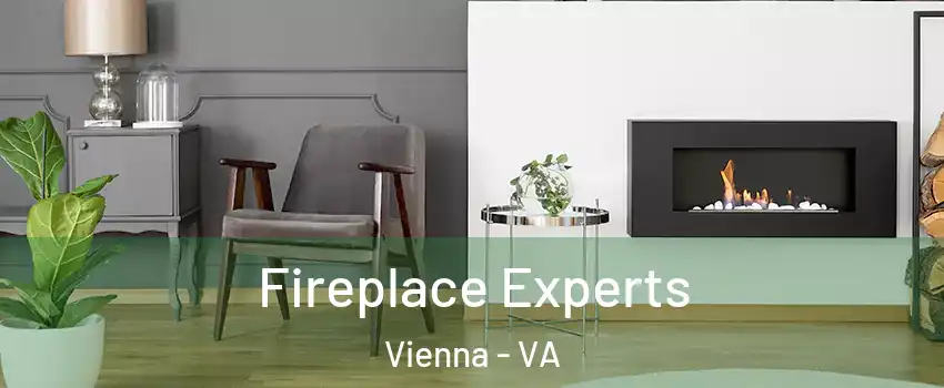  Fireplace Experts Vienna - VA