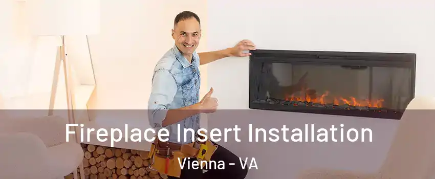  Fireplace Insert Installation Vienna - VA