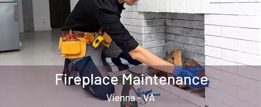  Fireplace Maintenance Vienna - VA