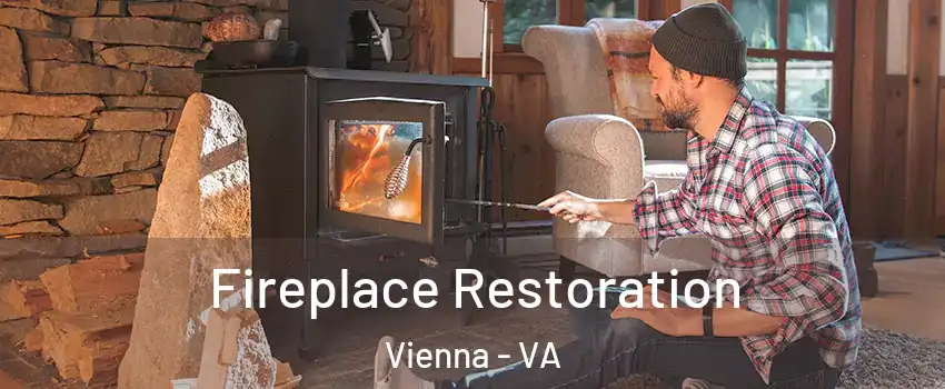  Fireplace Restoration Vienna - VA