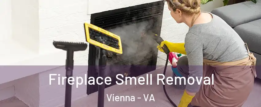  Fireplace Smell Removal Vienna - VA