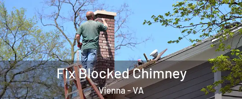  Fix Blocked Chimney Vienna - VA