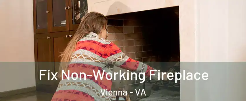  Fix Non-Working Fireplace Vienna - VA