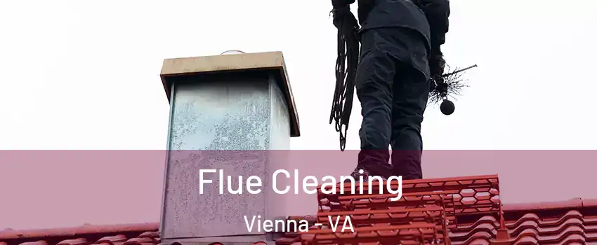  Flue Cleaning Vienna - VA
