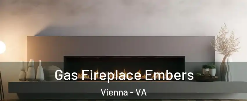  Gas Fireplace Embers Vienna - VA