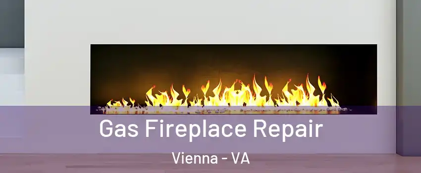  Gas Fireplace Repair Vienna - VA