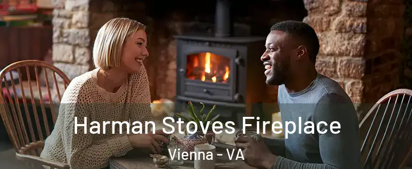  Harman Stoves Fireplace Vienna - VA