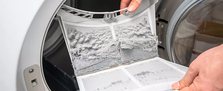 Best Dryer Lint Removal Company in Vienna, Virginia