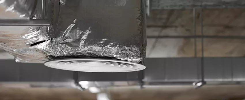 Signs of Dust Accumulation in Vents in Vienna, VA