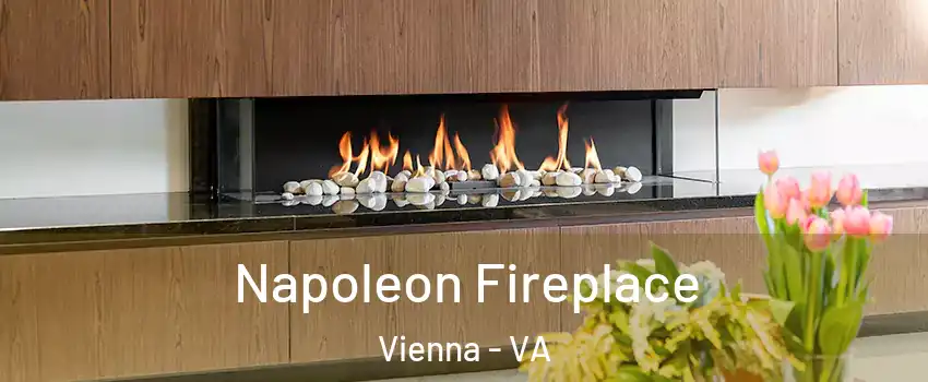  Napoleon Fireplace Vienna - VA