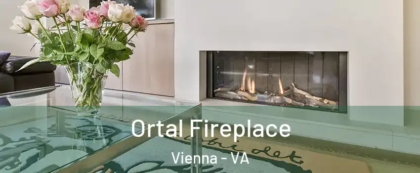 Ortal Fireplace Vienna - VA