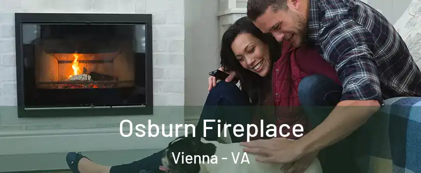  Osburn Fireplace Vienna - VA