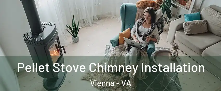  Pellet Stove Chimney Installation Vienna - VA