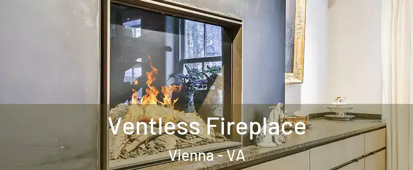  Ventless Fireplace Vienna - VA
